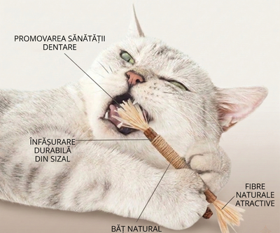 Bețe Matatabi Silver Vine pentru pisici (Set 3 bucăți)