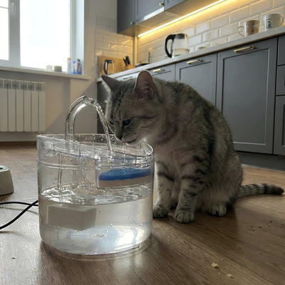 Fantana apa pisici 2L wireless cu senzor miscare si filtru carbune activ UrbanCat