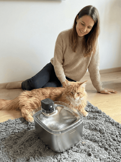 Fântână automată pentru pisici (5.5L, Inox + UV - C) - i - vory|Urban|