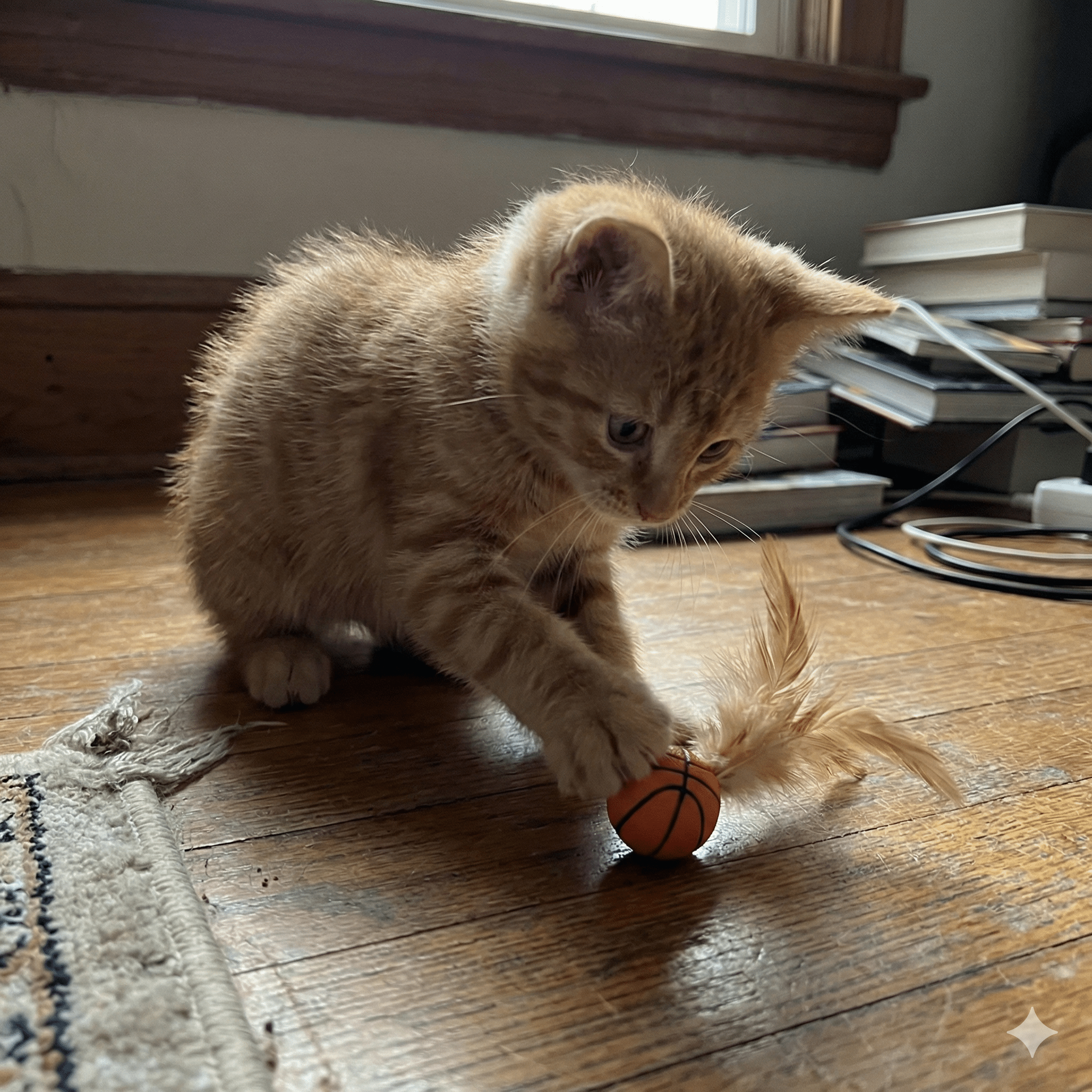 Minge interactiva pisici cu pene naturale silicon moale UrbanCat